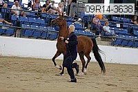 09r14-3638 proof