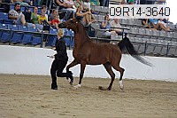 09r14-3640 proof