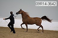 09r14-3642 proof