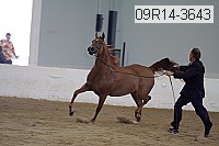 09r14-3643 proof
