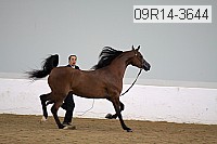09r14-3644 proof