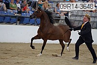 09r14-3648 proof