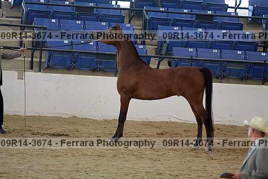 Proof 09r14-3674