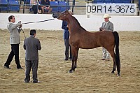 09r14-3675 proof