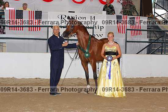 Proof 09r14-3683