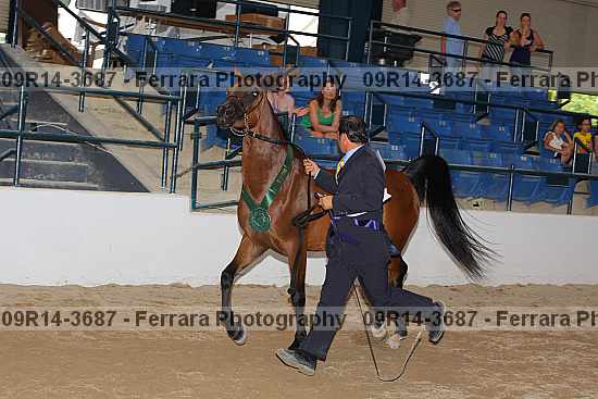 Proof 09r14-3687