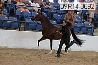 09r14-3692 proof