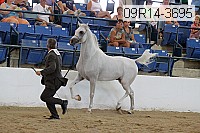 09r14-3695 proof