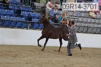 09r14-3701 proof