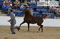 09r14-3702 proof