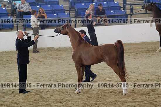 Proof 09r14-3705
