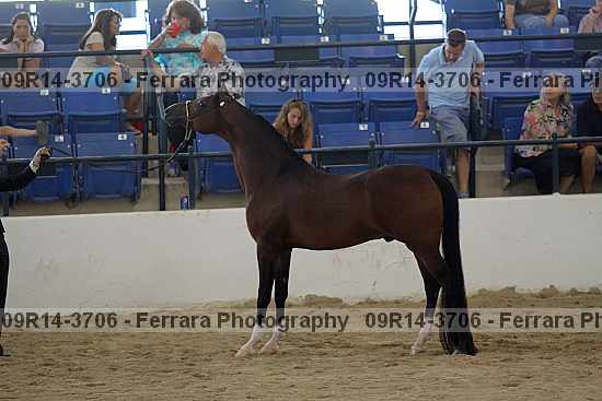 Proof 09r14-3706