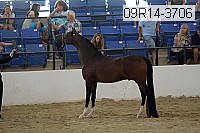 09r14-3706 proof