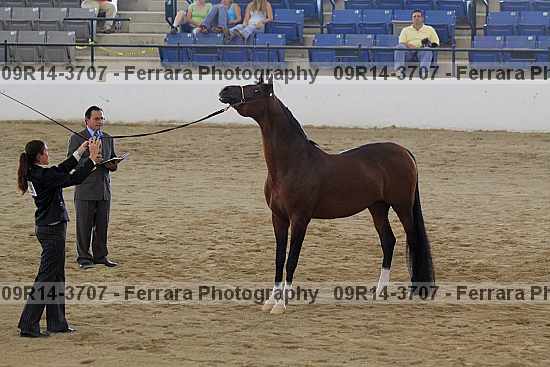 Proof 09r14-3707