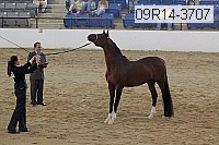 09r14-3707 proof