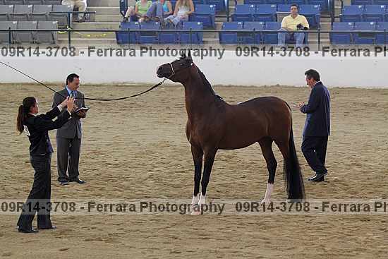 Proof 09r14-3708