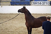 09r14-3710 proof