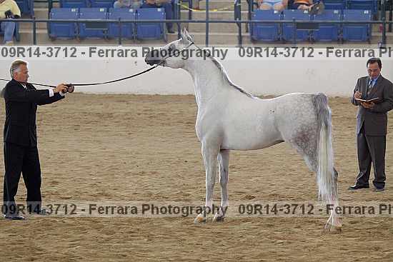 Proof 09r14-3712