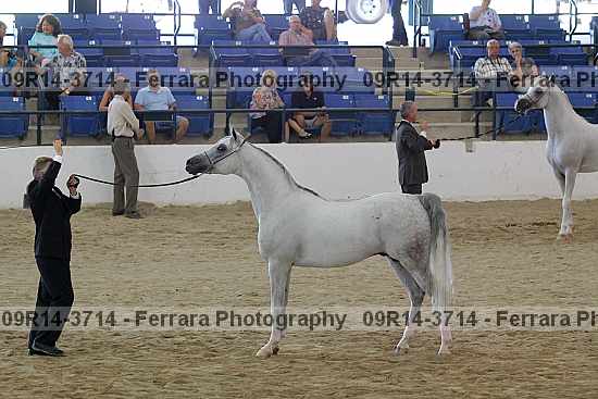 Proof 09r14-3714