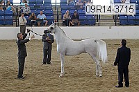 09r14-3715 proof