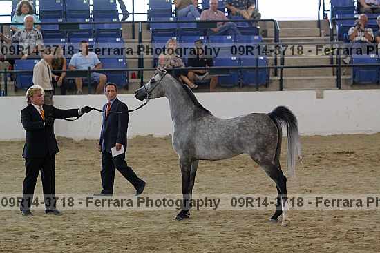 Proof 09r14-3718