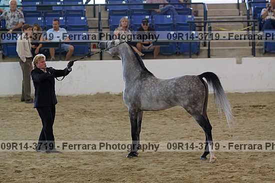Proof 09r14-3719