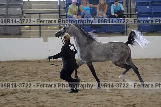 Proof 09r14-3722
