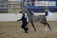 09r14-3722 proof
