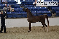 09r14-3723 proof