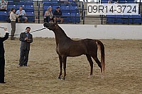 09r14-3724 proof