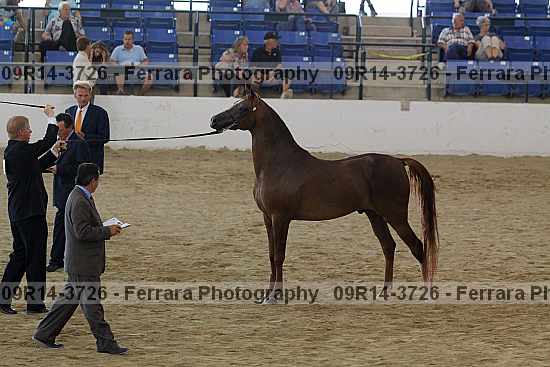 Proof 09r14-3726