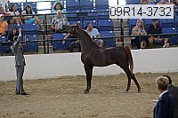 09r14-3732 proof