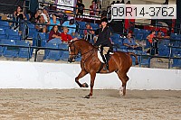 09r14-3762 proof