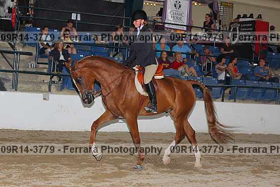 Proof 09r14-3779