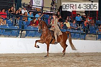 09r14-3805 proof