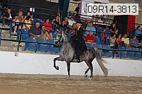 09r14-3813 proof