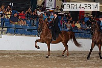 09r14-3814 proof