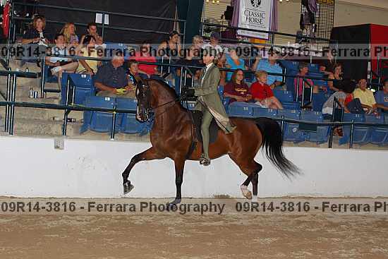 Proof 09r14-3816