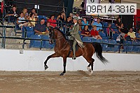 09r14-3816 proof