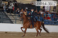 09r14-3817 proof