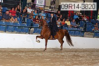 09r14-3820 proof