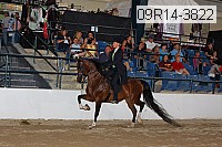 09r14-3822 proof