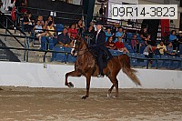 09r14-3823 proof