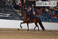 09r14-3826 proof