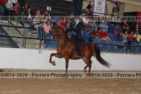 Proof 09r14-3828
