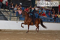 09r14-3828 proof