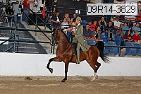 09r14-3829 proof