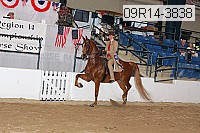 09r14-3838 proof