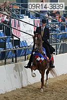 09r14-3839 proof