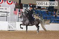 09r14-3843 proof